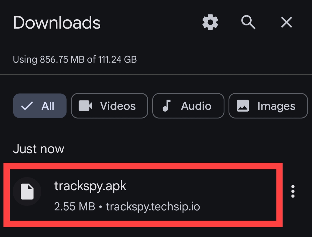 Downloads folder
